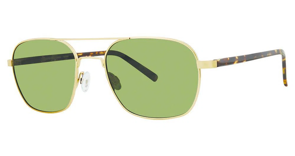 Randy Jackson RJS929P Sunglasses - Black - view 6